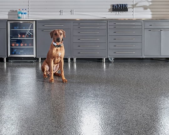 Picture of Pet-Friendly Garage Ideas and Benefits for Fur-Tastic Living