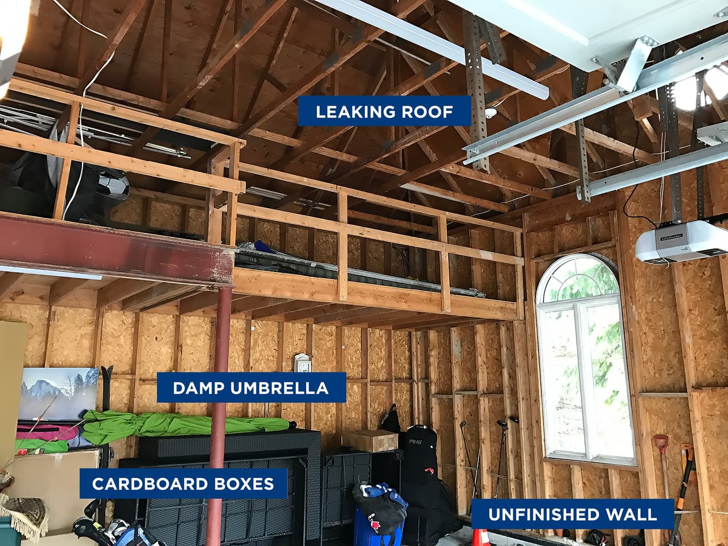 Mold in the Garage Common Signs, Causes, and Prevention Tips