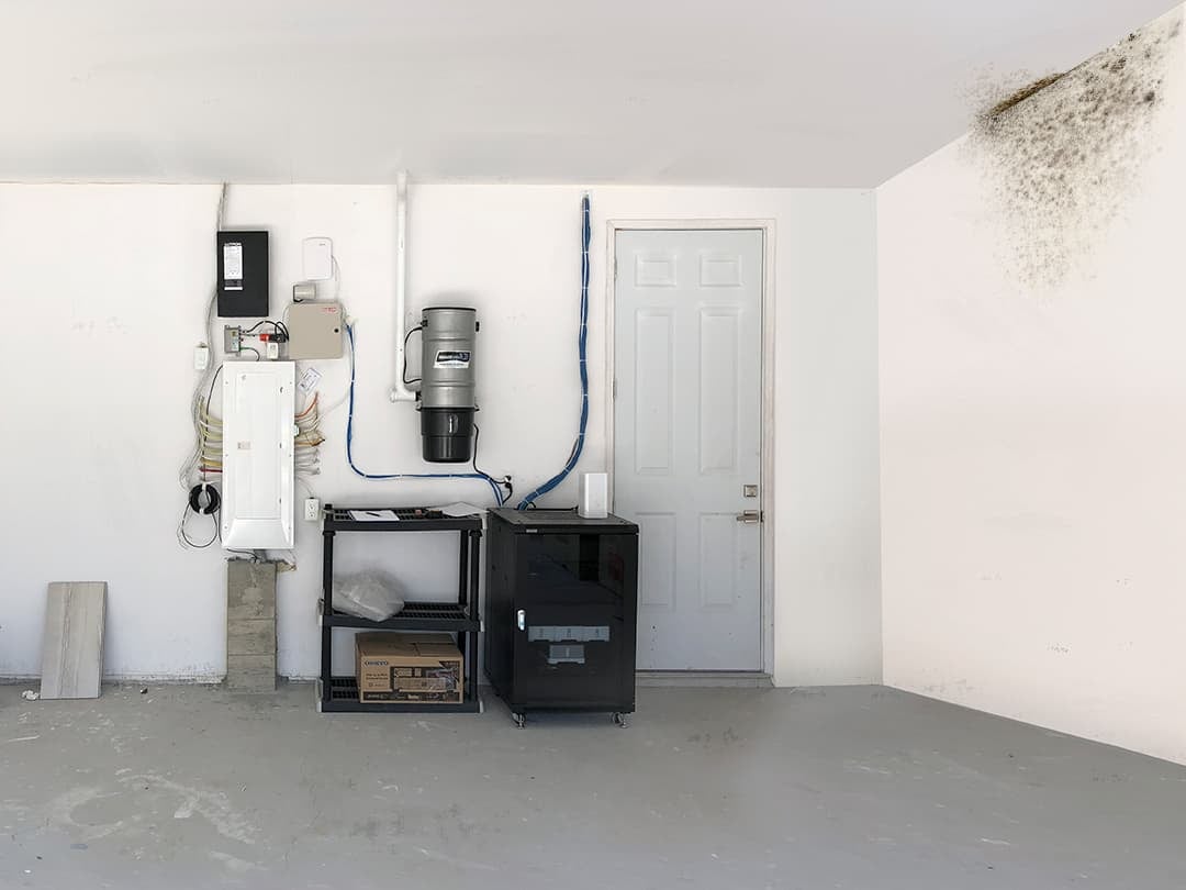 mold on garage wall and ceiling