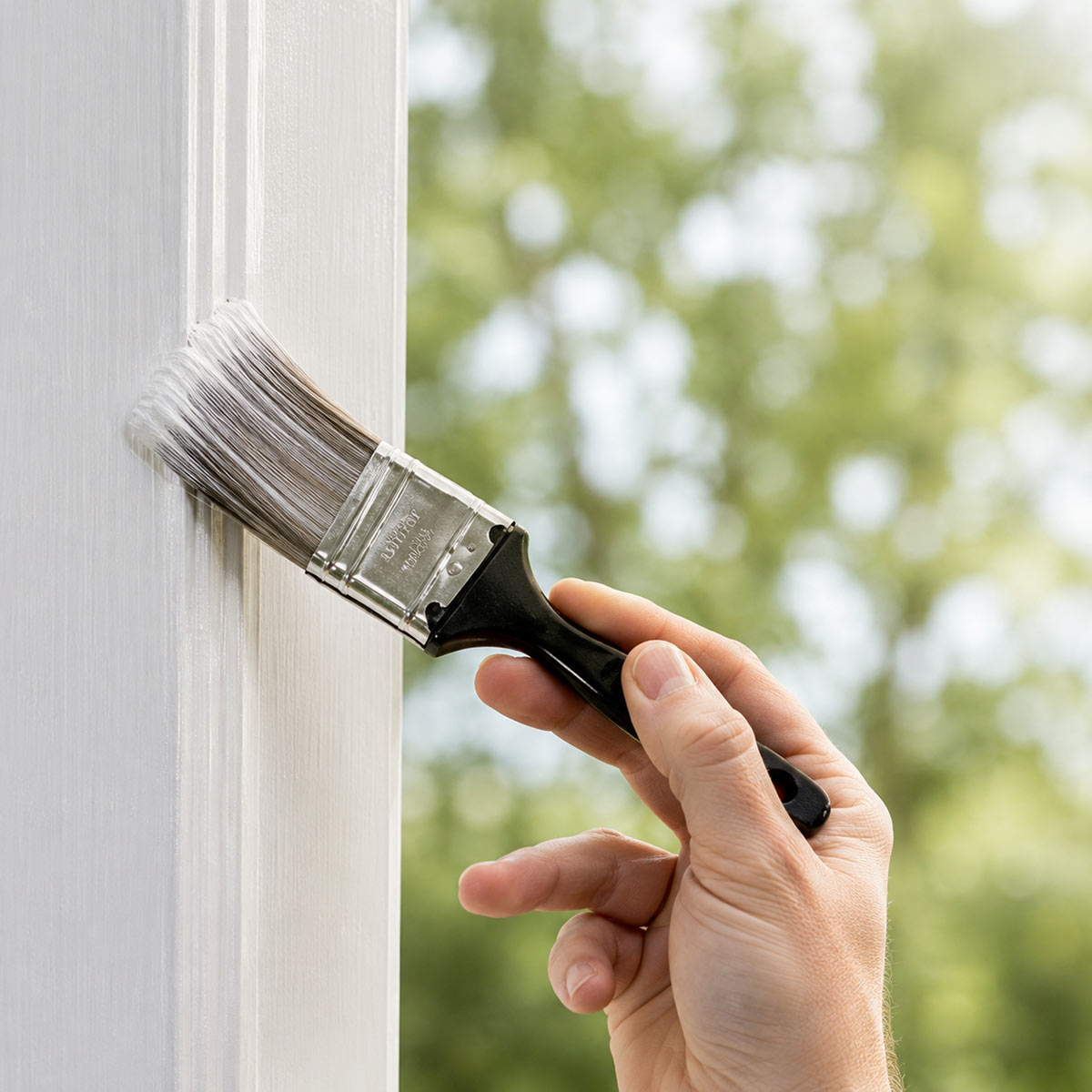 Painting & Drywall
