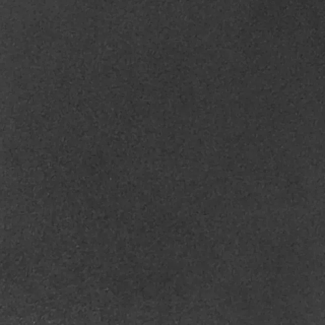 xhayley-silver.jpg.pagespeed.ic.rBprKZNQFn